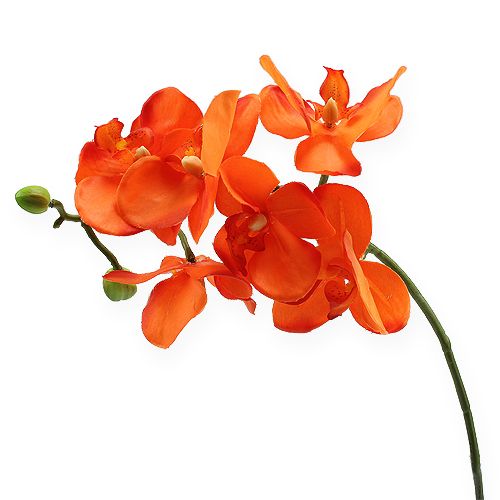 Floristik24 Orchidea ág narancssárga 61cm