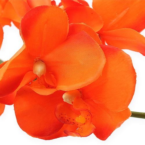 Floristik24 Orchidea ág narancssárga 61cm