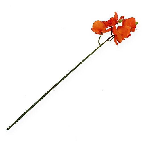 Floristik24 Orchidea ág narancssárga 61cm