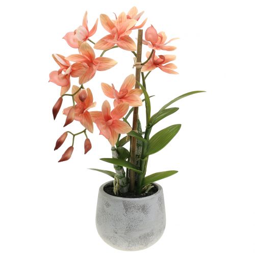 Floristik24 Orchidea cserépben lazac H41cm