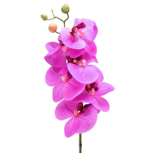 Mesterséges orchidea Phalaenopsis Orchid Pink 78cm