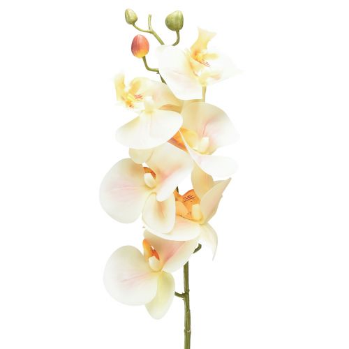 Floristik24 Mesterséges orchidea krém narancssárga Phalaenopsis 78cm