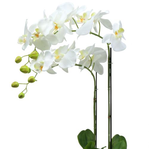 Orchidea fehér 65 cm-es izzón