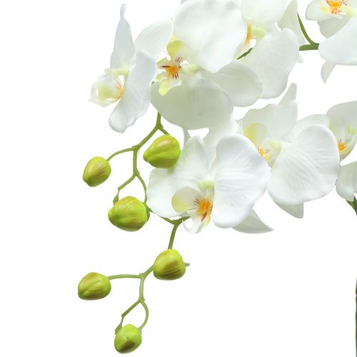 Floristik24 Orchidea fehér 65 cm-es izzón