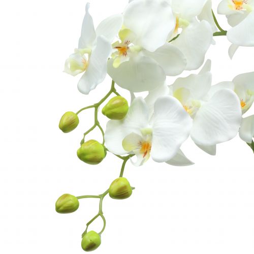 tételeket Fehér orchidea 118 cm-es labdán