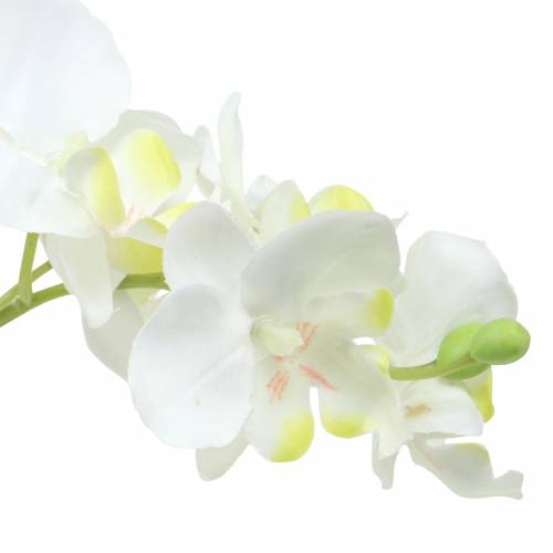 tételeket Orchideák fehér cserépben műnövény H35cm