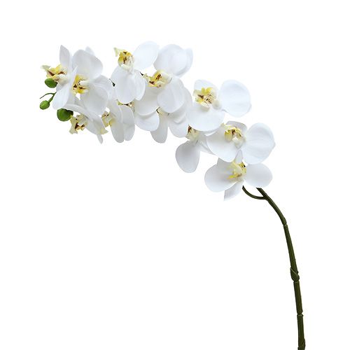 Floristik24 Orchidea ág fehér L58cm