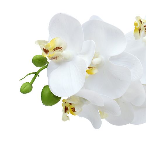 tételeket Orchidea ág fehér L58cm