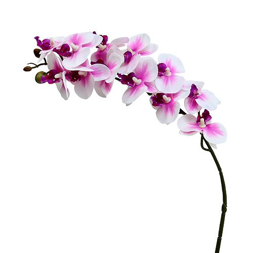 Floristik24 Orchidea ág fehér-rózsaszín L58cm