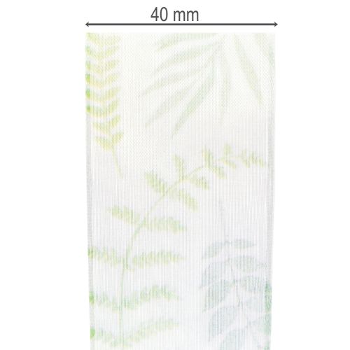 tételeket Organza szalag, sifon szalag, zöld színű, levélkagylókkal, 40 mm széles, 15 m hosszú