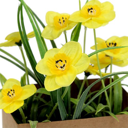 Floristik24 Nárcisz papírzacskóban sárga H21cm