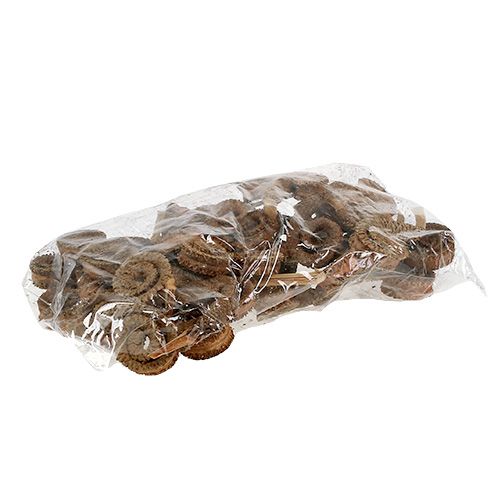 tételeket Palm Male Nature 25 db