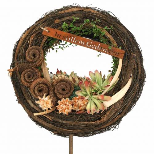 Floristik24 Palm Male Nature 25 db