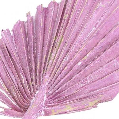 tételeket Palmspear Mix Pink Berry, White Washed Memorial Floristry 65 db