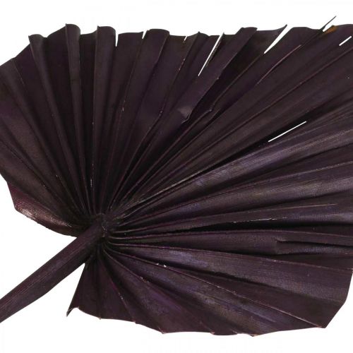 tételeket Palmspear Mix Pink Berry, White Washed Memorial Floristry 65 db