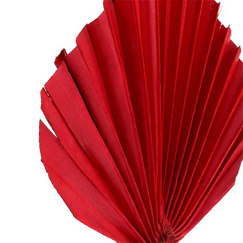 tételeket Palmspear Red 65 db