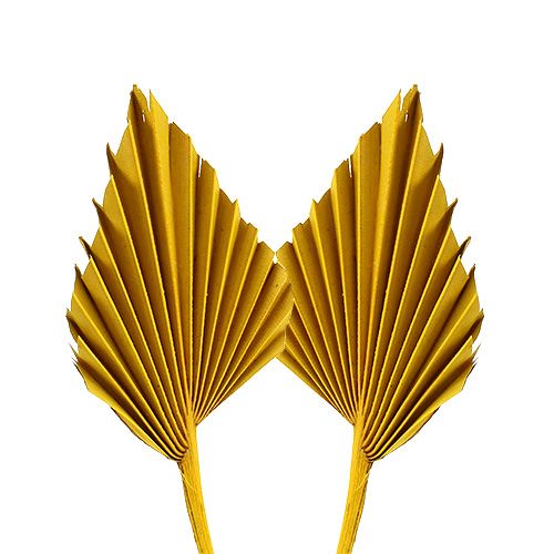 Floristik24 Palm lándzsa mini sárga 100p