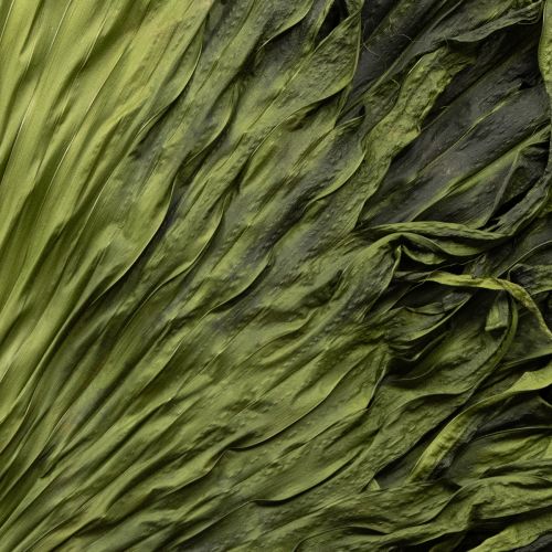 tételeket Pálmalevél díszítés egzotikus kompozíciókhoz és asztaldíszekhez