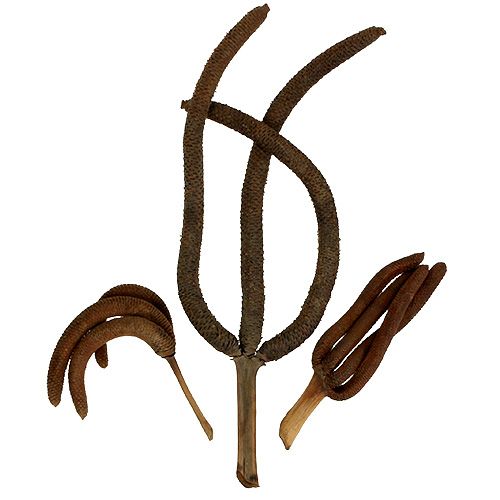 Floristik24 Pálmakúpok 3-szoros natúr díszítés 10 db