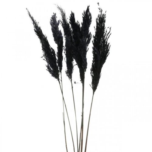 Pampa fű fekete 65-75cm száraz fű natúr dekoráció 6 db