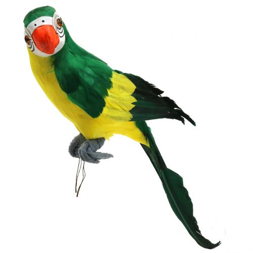 Floristik24 Dekoratív papagáj zöld 44cm