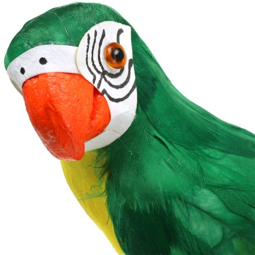 tételeket Dekoratív papagáj zöld 44cm