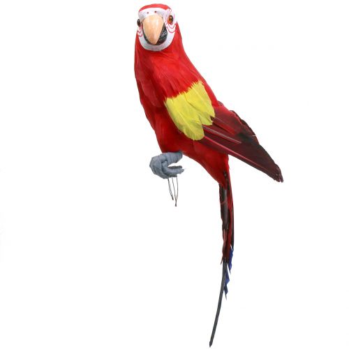 Floristik24 Deco papagáj piros 44cm