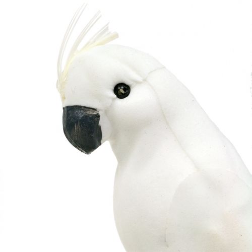 tételeket Papagájok tollas fehér Mesterséges kakadu díszmadár 4db