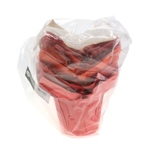 Floristik24 Papír edényültető narancs / piros Ø10cm 12db