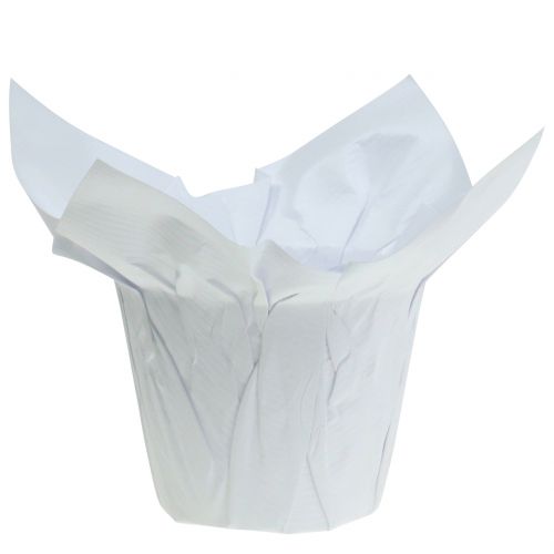 Floristik24 Papíredények fehér Ø8cm 12db