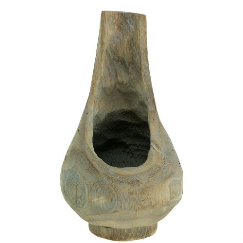 Floristik24 Paulownia fa cserep Ø17cm H30cm