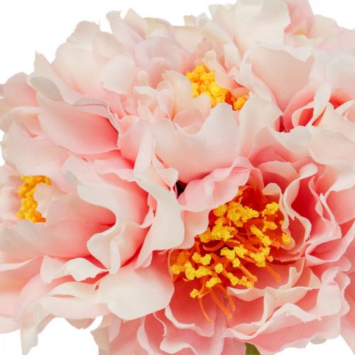 tételeket Paeonia bazsarózsa művirág bazsarózsa rózsaszín Ø6cm 28cm 7 db