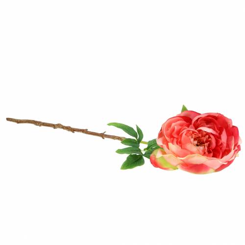 Floristik24 Bazsarózsa rózsaszín 59cm