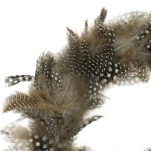 Floristik24 Toll koszorús gyöngytyúk Ø16cm