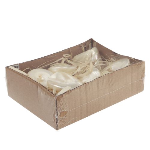 Floristik24 Gyöngyház giroszkópos tengeri csiga dekoráció 5-6cm 6 darab