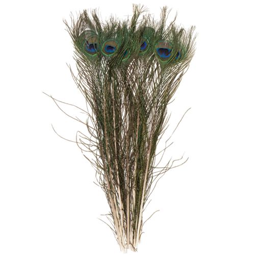 tételeket Pávatollak, igazi madártollak barkácsoláshoz és díszítéshez, 55 cm, 10 darab