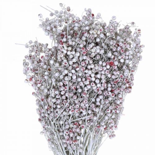 Floristik24 Havas paprika bogyók, téli dekoráció, szárított virágok, Advent, rózsaszín bors fehérre mosott 170g