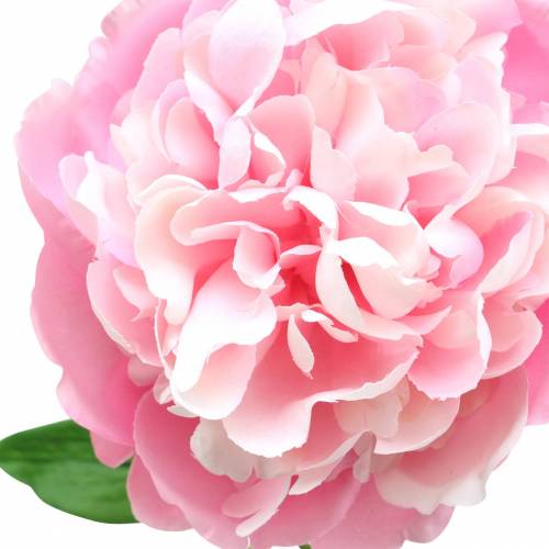tételeket Bazsarózsa művirág virággal és rügy rózsaszín 68cm
