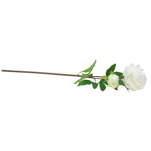 Floristik24 Bazsarózsa fehér 72cm
