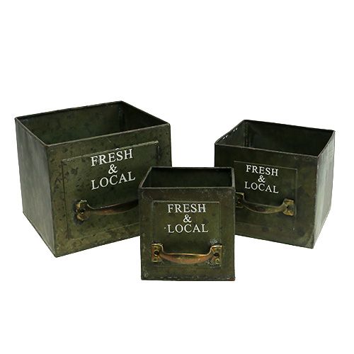 Floristik24 Ültető fiók fémlemez készlet 3 db antik zöld