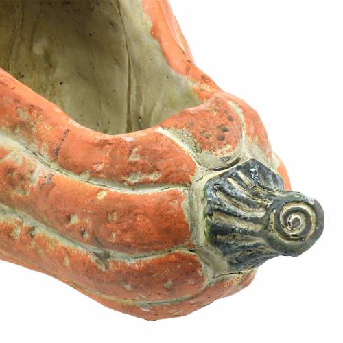 Floristik24 Ültetésre szánt sütőtök Narancs 28 × 15 × 14 cm