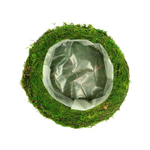 Floristik24 Ültetőtál mohaágak Ø20cm