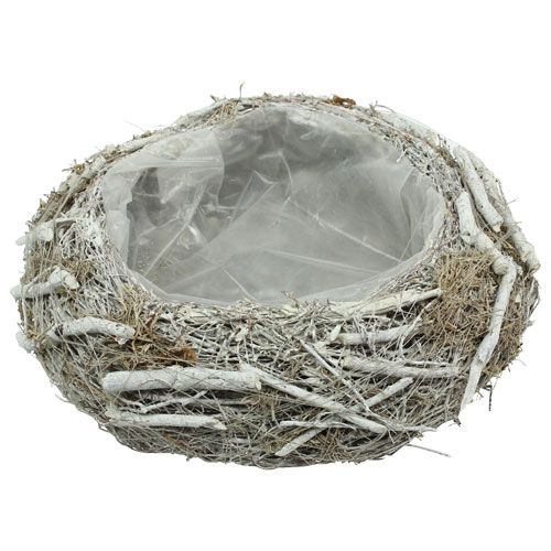 Floristik24 Ültetőtál szürke Ø25cm