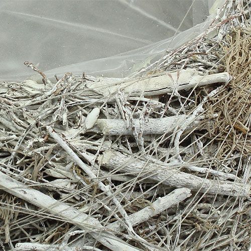 Floristik24 Ültetőtál szürke Ø25cm