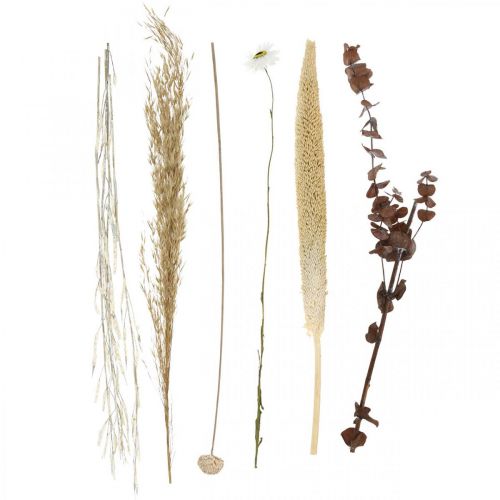 Floristik24 Szárított virágcsokor eukaliptusz fehér barkácsdobozsal, H30-35cm