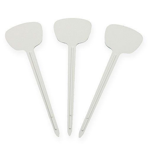 Floristik24 Növénytábla 12cm 100p