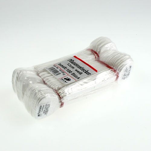 Floristik24 Növénytábla 12cm 100p