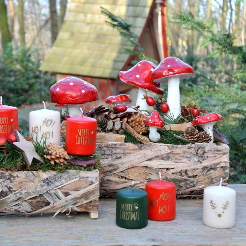 Floristik24 Nyírfaültető 25cm x 10cm / 30cm x 15cm 2db