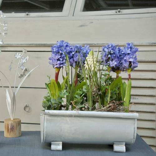 Floristik24 Ültető ereszcsatorna 25cm