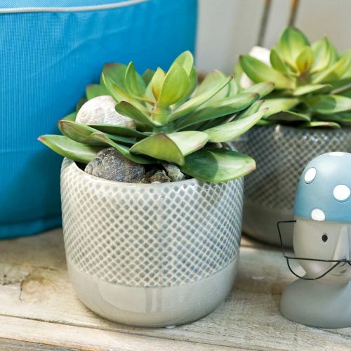 Floristik24 Kerámia ültetőgép, fonott virágtartó, kerámia edény Ø13cm 3db